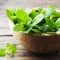 М'ята Мохіто (Mojito) р9